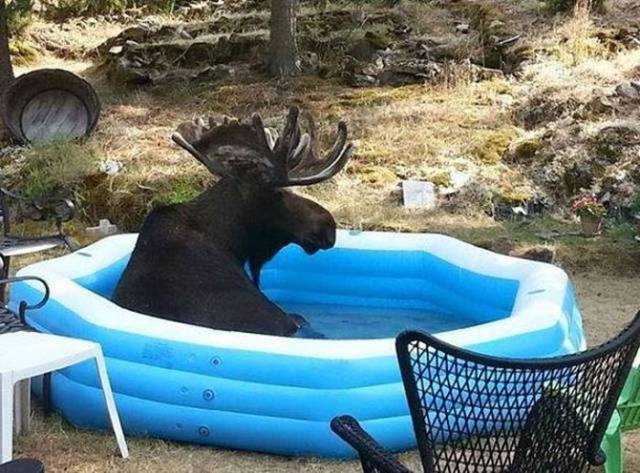 daily picdump 89 pics 32.html - 89 HD Photos | Premium Gallery 2016