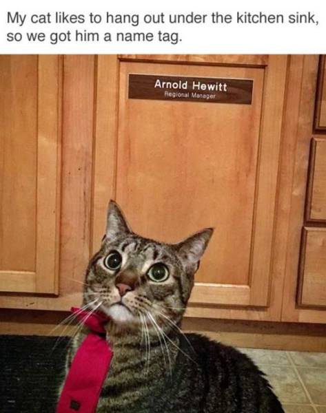 daily picdump 89 pics 32.html - 89 HD Photos | Premium Gallery 2016