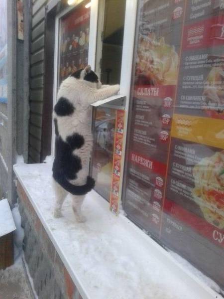 morning picdump 55 pics 2.html - 55 HD Photos | Premium Gallery 2016