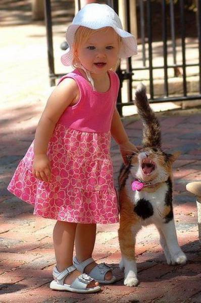 Daily Picdump