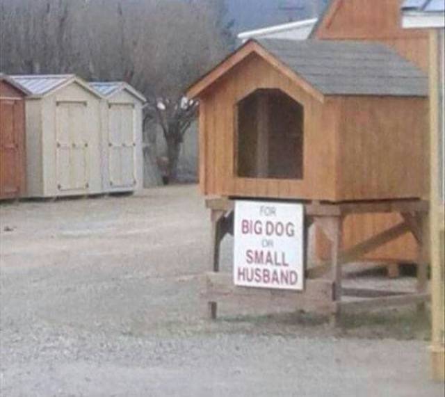 Daily Picdump