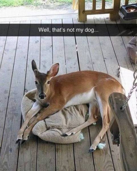 daily picdump 94 pics 11.html - 94 HD Photos | Premium Gallery 2017