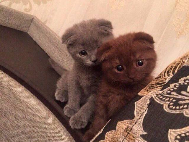 daily picdump 94 pics 11.html - 94 HD Photos | Premium Gallery 2017