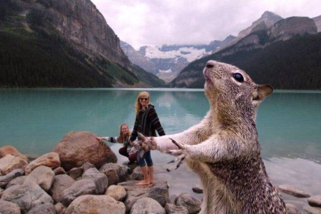 daily picdump 94 pics 11.html - 94 HD Photos | Premium Gallery 2017