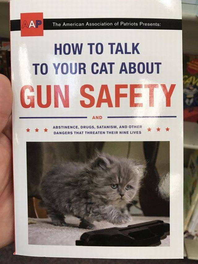 daily picdump 94 pics 11.html - 94 HD Photos | Premium Gallery 2017