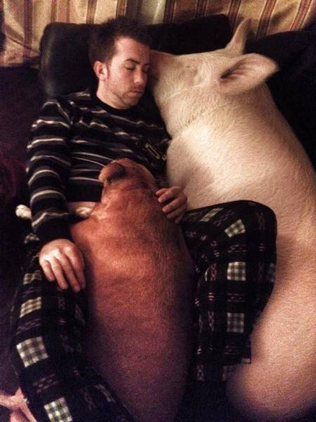 daily picdump 102 pics 4.html - 102 HD Photos | Premium Gallery 2017