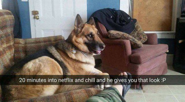 daily picdump 102 pics 4.html - 102 HD Photos | Premium Gallery 2017