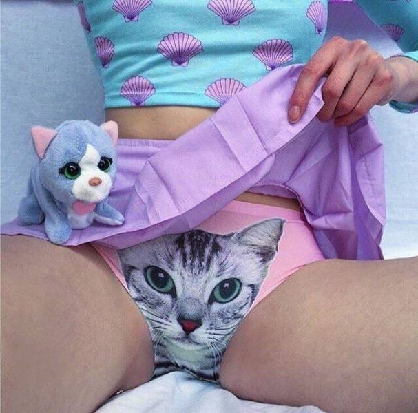 daily picdump 102 pics 4.html - 102 HD Photos | Premium Gallery 2017
