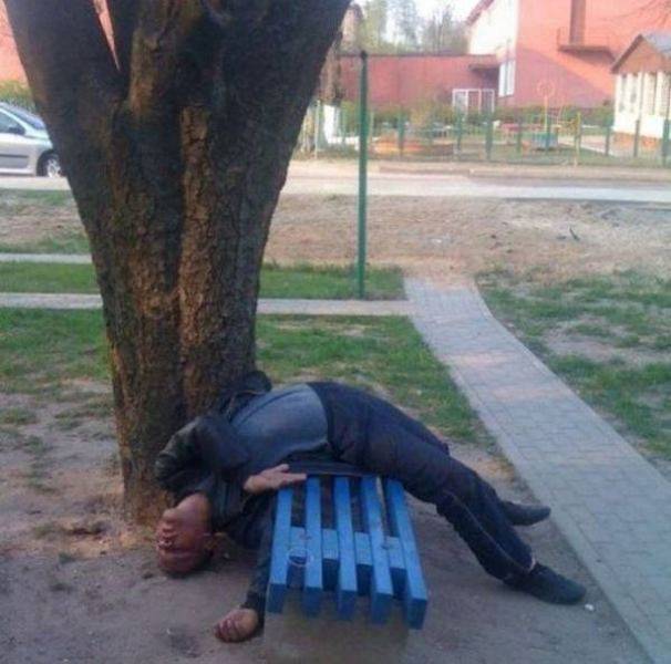 daily picdump 102 pics 4.html - 102 HD Photos | Premium Gallery 2017