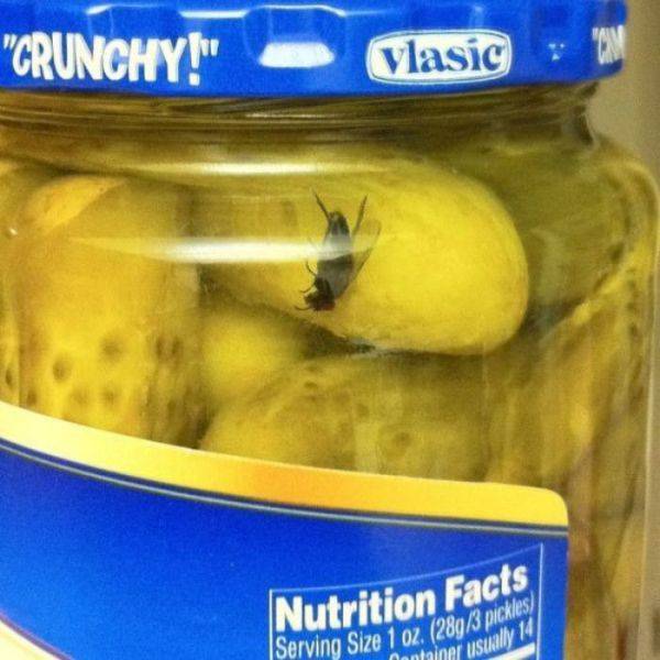 daily picdump 102 pics 4.html - 102 HD Photos | Premium Gallery 2017