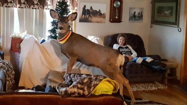 daily picdump 102 pics 4.html - 102 HD Photos | Premium Gallery 2017