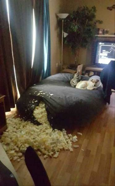 daily picdump 102 pics 4.html - 102 HD Photos | Premium Gallery 2017