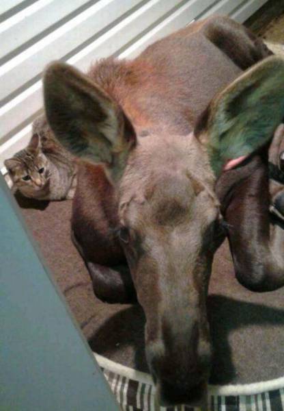 daily picdump 102 pics 4.html - 102 HD Photos | Premium Gallery 2017