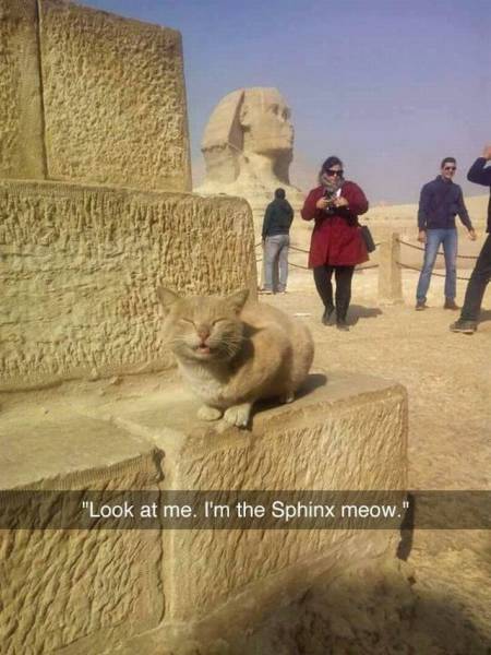 Daily Picdump