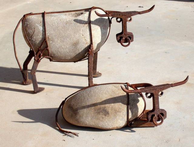 Daily Picdump