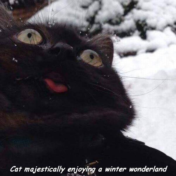 daily picdump 101 pics 11.html - 101 HD Photos | Premium Gallery 2017