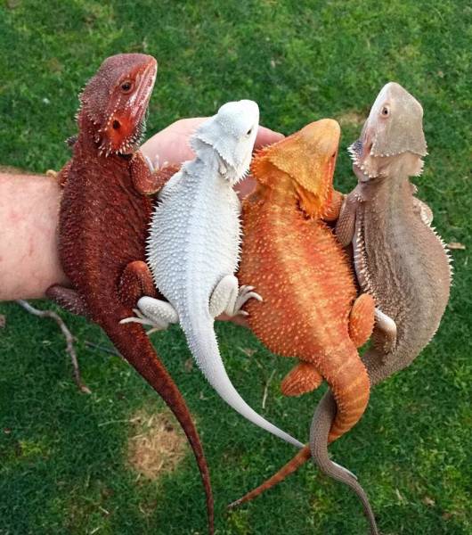 daily picdump 101 pics 11.html - 101 HD Photos | Premium Gallery 2017