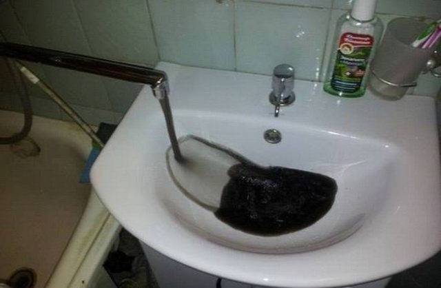 daily picdump 101 pics 11.html - 101 HD Photos | Premium Gallery 2017