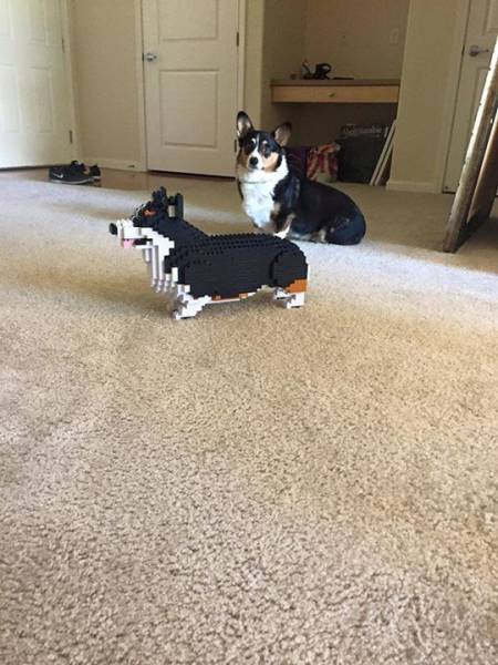 daily picdump 101 pics 11.html - 101 HD Photos | Premium Gallery 2017