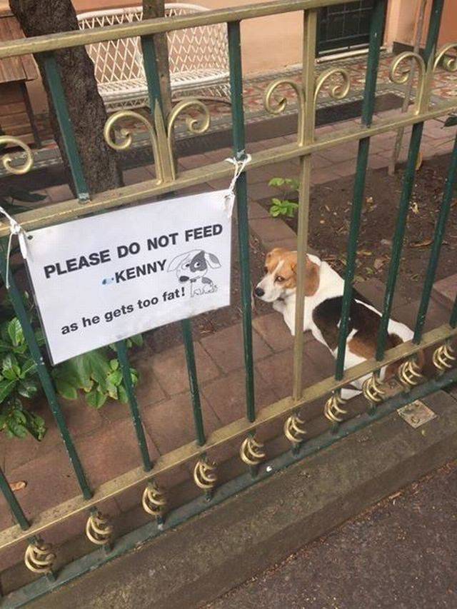 Daily Picdump