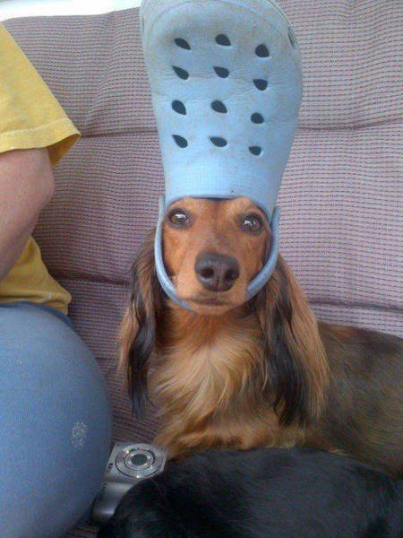 morning picdump 51 pics 11.html - 51 HD Photos | Premium Gallery 2017