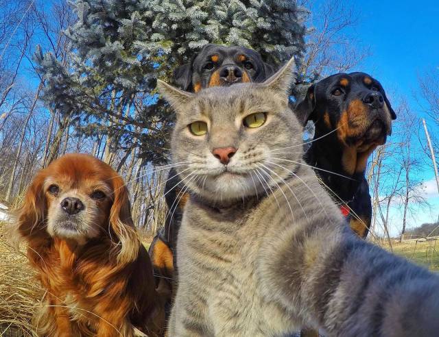 morning picdump 51 pics 11.html - 51 HD Photos | Premium Gallery 2017