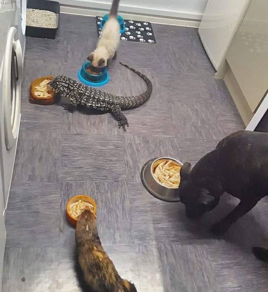 morning picdump 51 pics 11.html - 51 HD Photos | Premium Gallery 2017