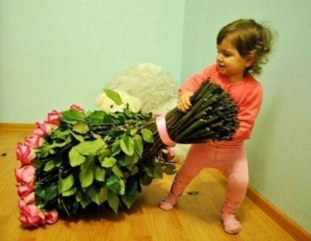 daily picdump 97 pics 45.html - 97 HD Photos | Premium Gallery 2017