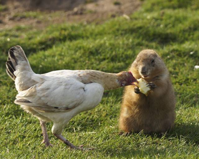 daily picdump 97 pics 45.html - 97 HD Photos | Premium Gallery 2017