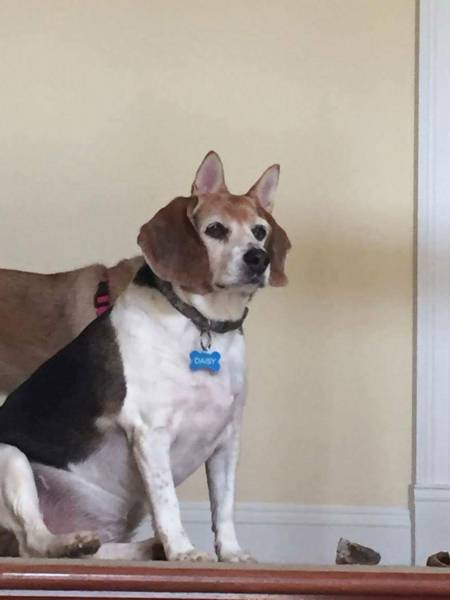 morning picdump 51 pics 3.html - 51 HD Photos | Premium Gallery 2017