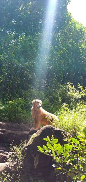morning picdump 51 pics 3.html - 51 HD Photos | Premium Gallery 2017