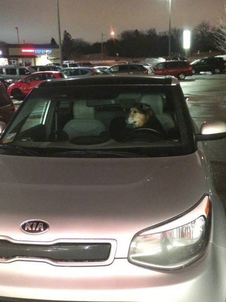 morning picdump 51 pics 3.html - 51 HD Photos | Premium Gallery 2017