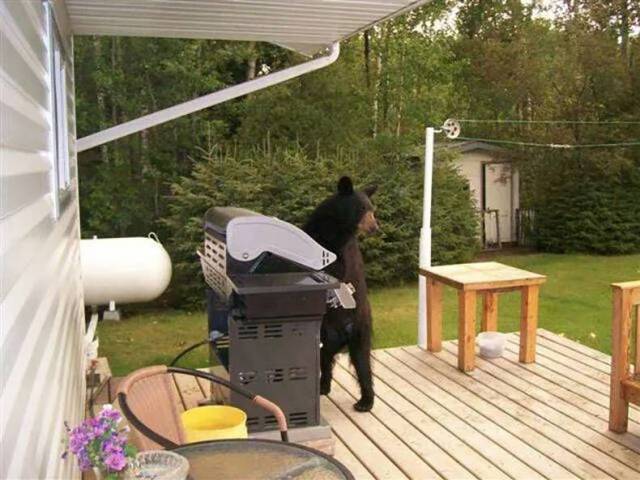 daily picdump 103 pics 11.html - 103 HD Photos | Premium Gallery 2017