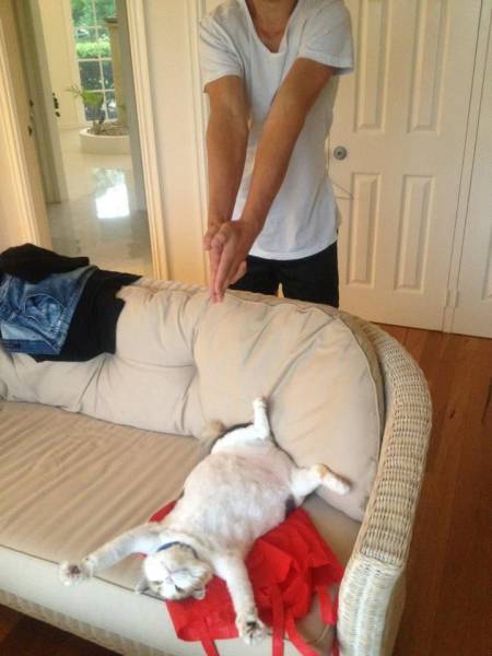 daily picdump 103 pics 11.html - 103 HD Photos | Premium Gallery 2017