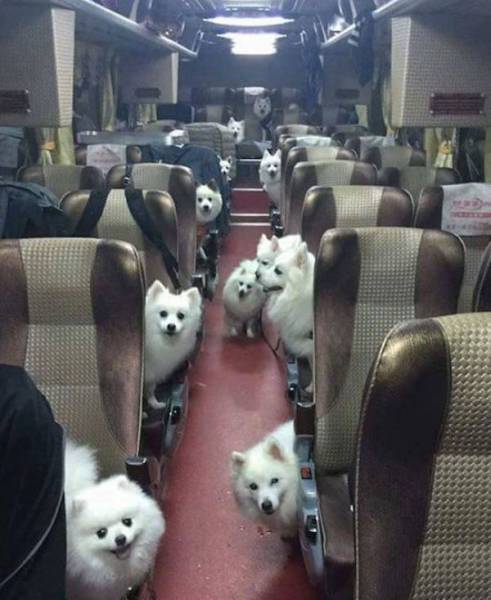 daily picdump 103 pics 11.html - 103 HD Photos | Premium Gallery 2017