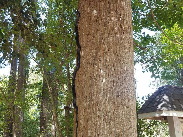 morning picdump 51 pics 3.html - 51 HD Photos | Premium Gallery 2017